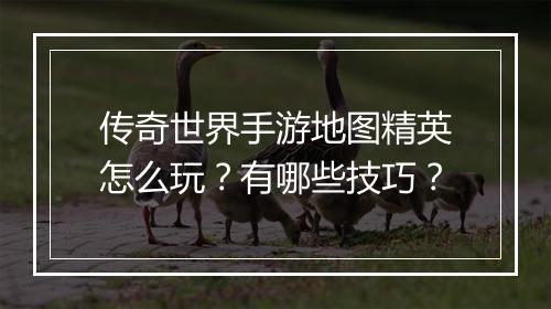 传奇世界手游地图精英怎么玩？有哪些技巧？