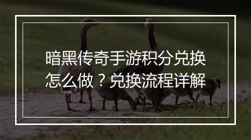 暗黑传奇手游积分兑换怎么做？兑换流程详解