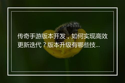 传奇手游版本开发，如何实现高效更新迭代？版本升级有哪些技巧？