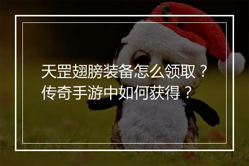 天罡翅膀装备怎么领取？传奇手游中如何获得？