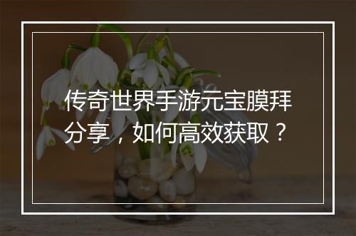 传奇世界手游元宝膜拜分享，如何高效获取？