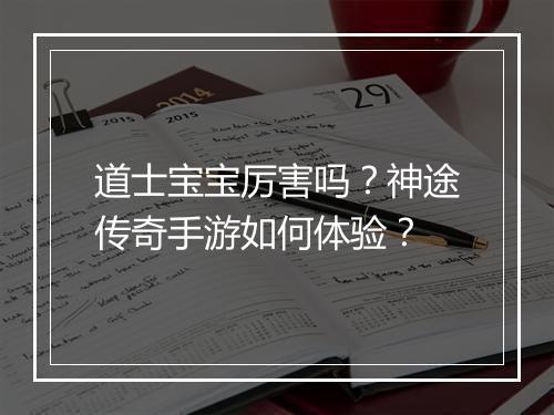 道士宝宝厉害吗？神途传奇手游如何体验？