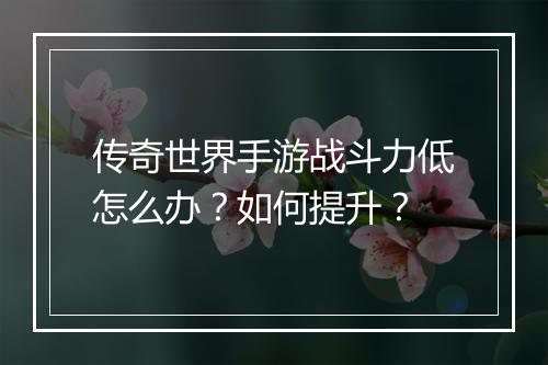 传奇世界手游战斗力低怎么办？如何提升？