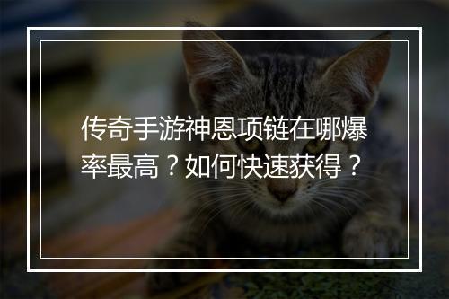 传奇手游神恩项链在哪爆率最高？如何快速获得？