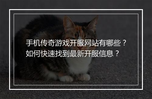 手机传奇游戏开服网站有哪些？如何快速找到最新开服信息？