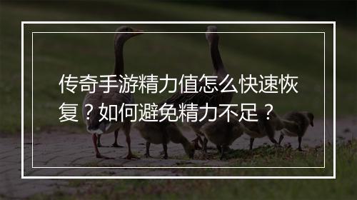 传奇手游精力值怎么快速恢复？如何避免精力不足？