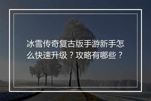冰雪传奇复古版手游新手怎么快速升级？攻略有哪些？