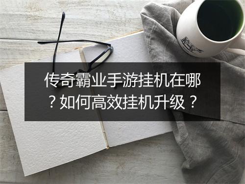 传奇霸业手游挂机在哪？如何高效挂机升级？