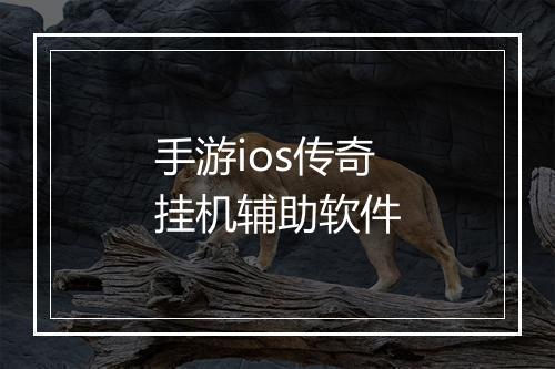 手游ios传奇挂机辅助软件