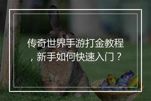 传奇世界手游打金教程，新手如何快速入门？