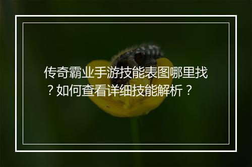 传奇霸业手游技能表图哪里找？如何查看详细技能解析？