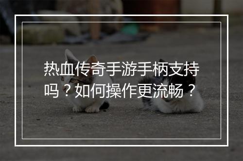 热血传奇手游手柄支持吗？如何操作更流畅？