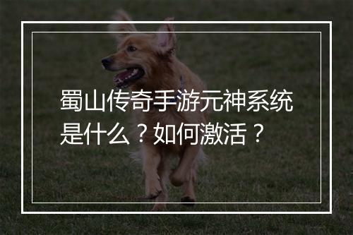 蜀山传奇手游元神系统是什么？如何激活？