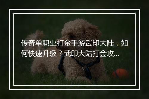 传奇单职业打金手游武印大陆，如何快速升级？武印大陆打金攻略分享