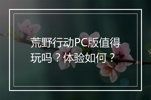 荒野行动PC版值得玩吗？体验如何？