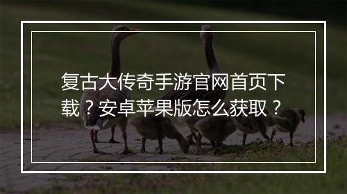 复古大传奇手游官网首页下载？安卓苹果版怎么获取？