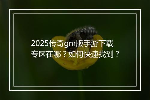 2025传奇gm版手游下载专区在哪？如何快速找到？
