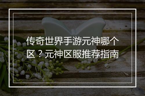传奇世界手游元神哪个区？元神区服推荐指南