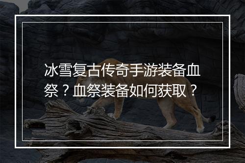 冰雪复古传奇手游装备血祭？血祭装备如何获取？