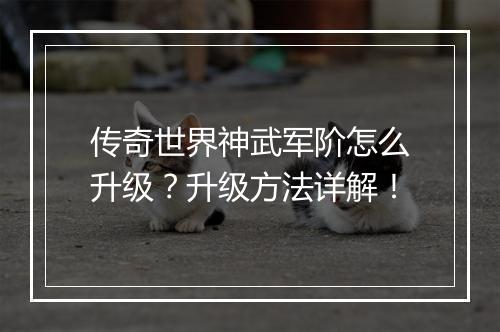 传奇世界神武军阶怎么升级？升级方法详解！