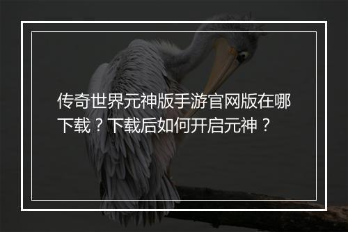 传奇世界元神版手游官网版在哪下载？下载后如何开启元神？