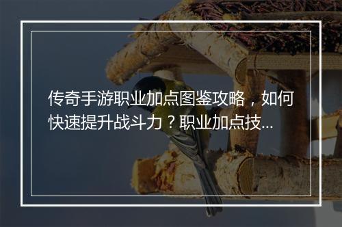 传奇手游职业加点图鉴攻略，如何快速提升战斗力？职业加点技巧揭秘！