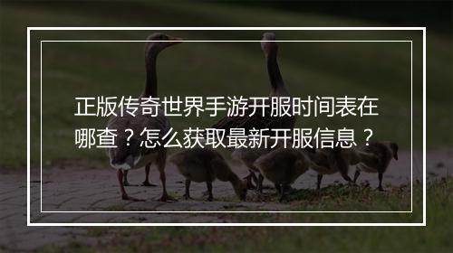 正版传奇世界手游开服时间表在哪查？怎么获取最新开服信息？