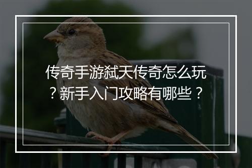 传奇手游弑天传奇怎么玩？新手入门攻略有哪些？