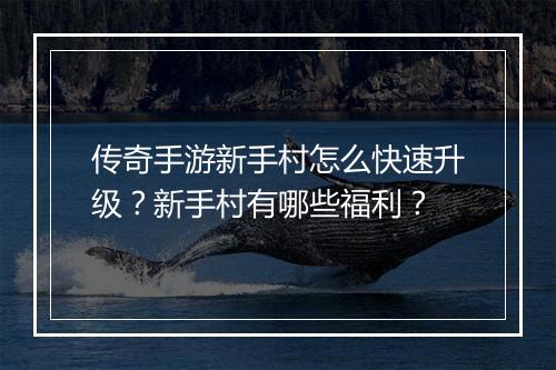 传奇手游新手村怎么快速升级？新手村有哪些福利？