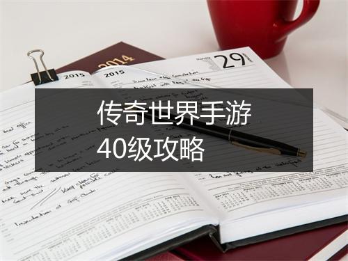 传奇世界手游40级攻略