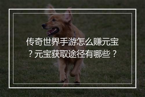 传奇世界手游怎么赚元宝？元宝获取途径有哪些？