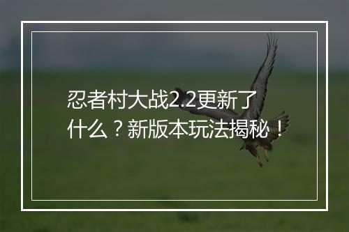 忍者村大战2.2更新了什么？新版本玩法揭秘！