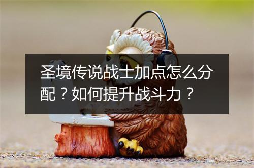 圣境传说战士加点怎么分配？如何提升战斗力？