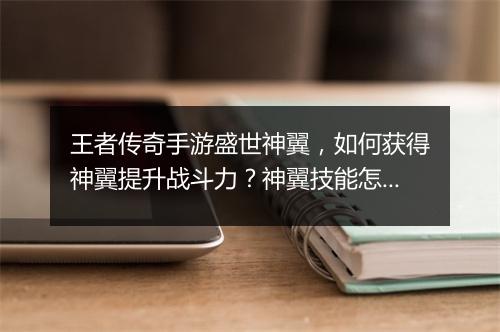 王者传奇手游盛世神翼，如何获得神翼提升战斗力？神翼技能怎么搭配？