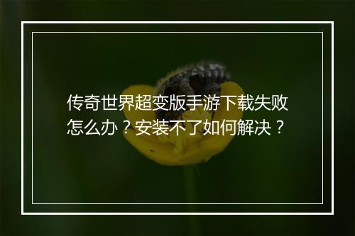 传奇世界超变版手游下载失败怎么办？安装不了如何解决？