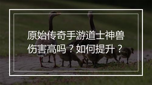原始传奇手游道士神兽伤害高吗？如何提升？
