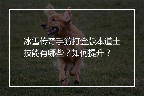 冰雪传奇手游打金版本道士技能有哪些？如何提升？