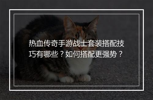 热血传奇手游战士套装搭配技巧有哪些？如何搭配更强势？