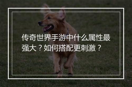 传奇世界手游中什么属性最强大？如何搭配更刺激？
