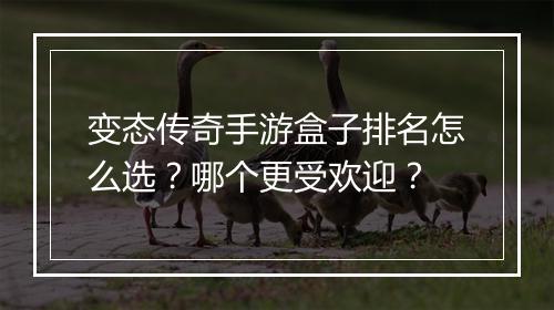 变态传奇手游盒子排名怎么选？哪个更受欢迎？