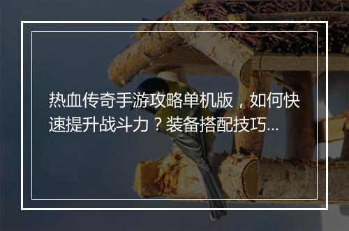 热血传奇手游攻略单机版，如何快速提升战斗力？装备搭配技巧揭秘？