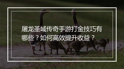 屠龙圣域传奇手游打金技巧有哪些？如何高效提升收益？