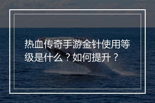 热血传奇手游金针使用等级是什么？如何提升？