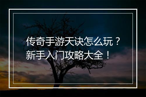 传奇手游天诀怎么玩？新手入门攻略大全！