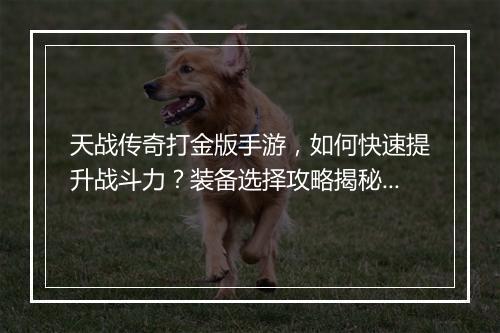 天战传奇打金版手游，如何快速提升战斗力？装备选择攻略揭秘？