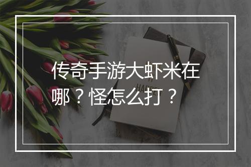 传奇手游大虾米在哪？怪怎么打？