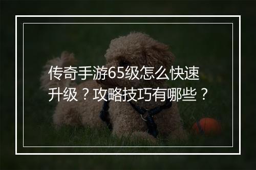 传奇手游65级怎么快速升级？攻略技巧有哪些？
