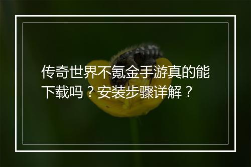 传奇世界不氪金手游真的能下载吗？安装步骤详解？
