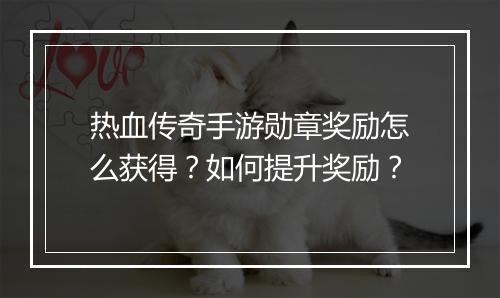 热血传奇手游勋章奖励怎么获得？如何提升奖励？