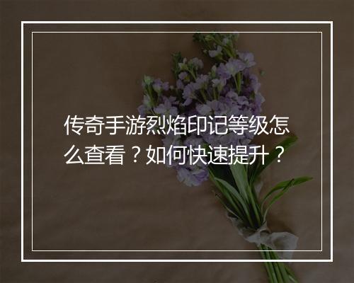 传奇手游烈焰印记等级怎么查看？如何快速提升？